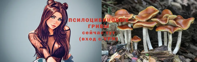 Галлюциногенные грибы Magic Shrooms  цены наркотик  Всеволожск 